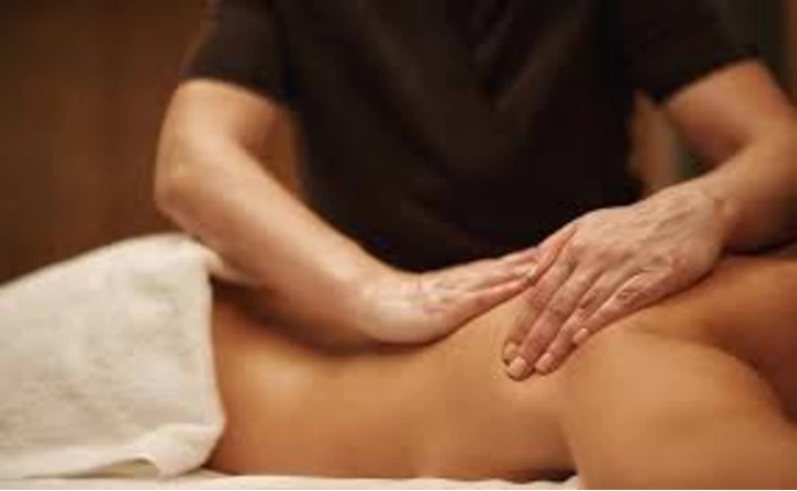 Full Body to Body Massage Parlour & Spa Services in Mahipalpur Delhi - 1/1