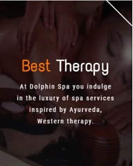 Dolphin Spa , Massage spa in Jaipur, India , decisive spa and massage   experiences